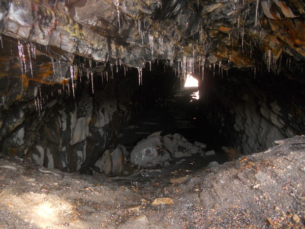 the den