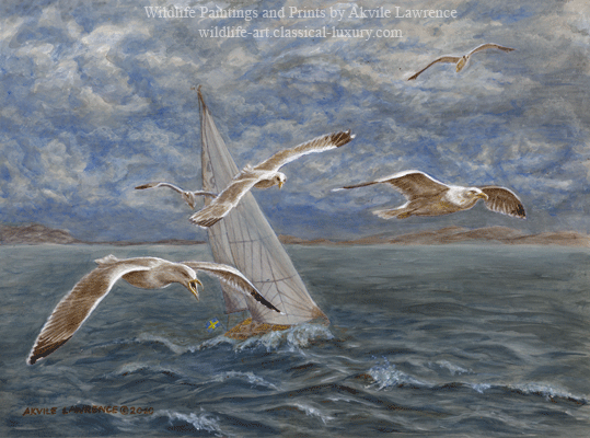 Seagulls lead the way