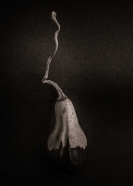 Gourds No 16