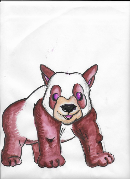 Panda 002