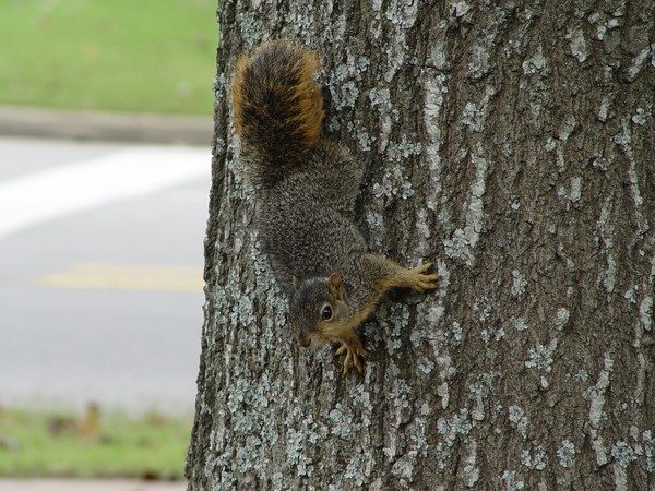 Hangin' Out  
