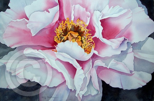 Peony