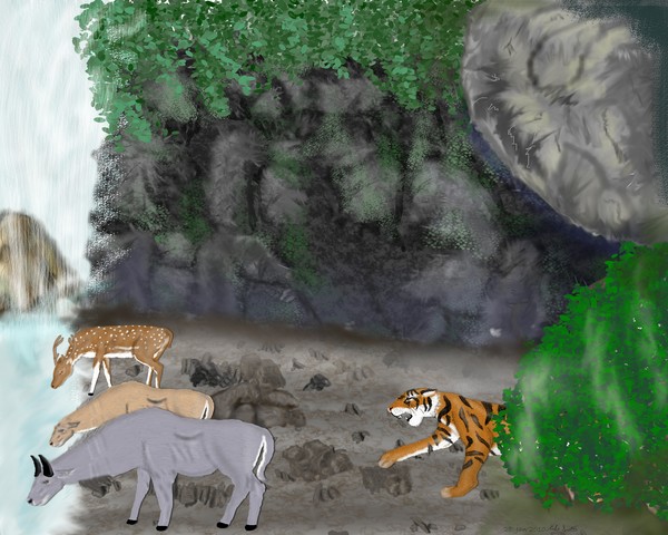 Tiger's Favorite Waterfall