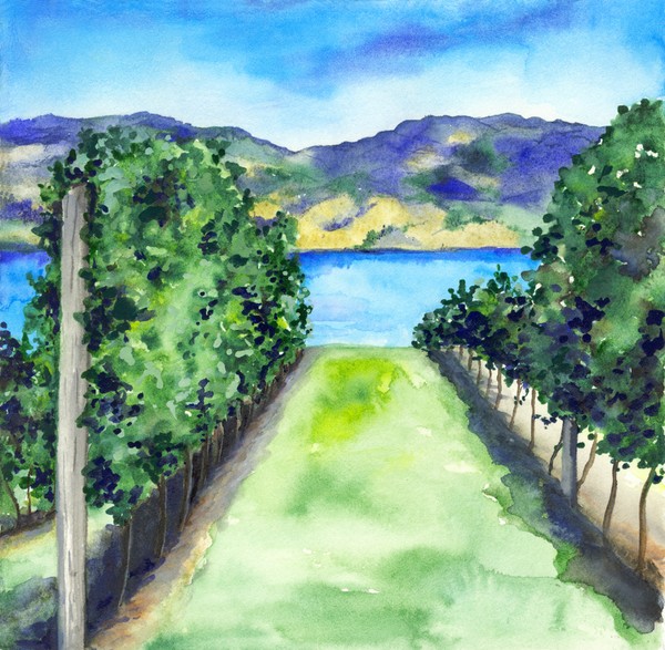Between the Vines