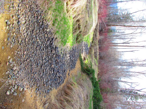 dry creek