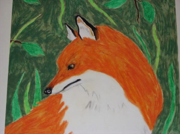 Fox