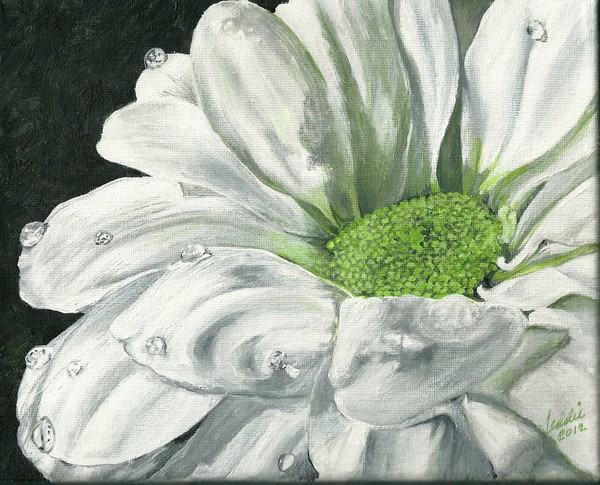 cathansymum