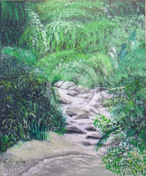 Jayuya's Brook
