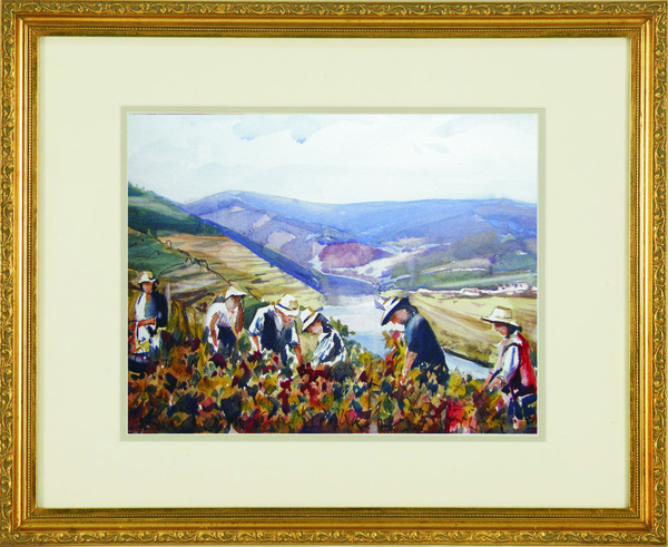 Vindimas (Douro)