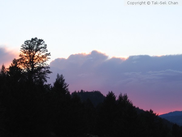 Dusk, Yellowstone National Park