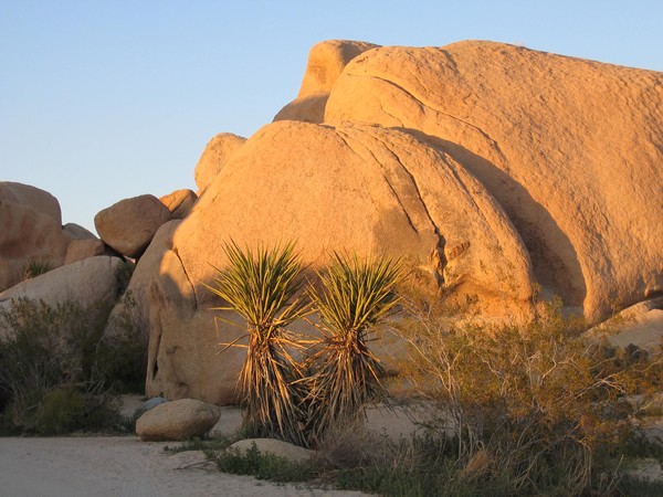 Desert Light
