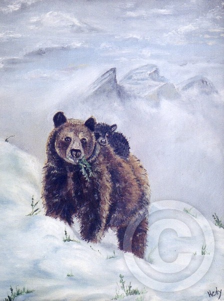 Springtime in The Rockies