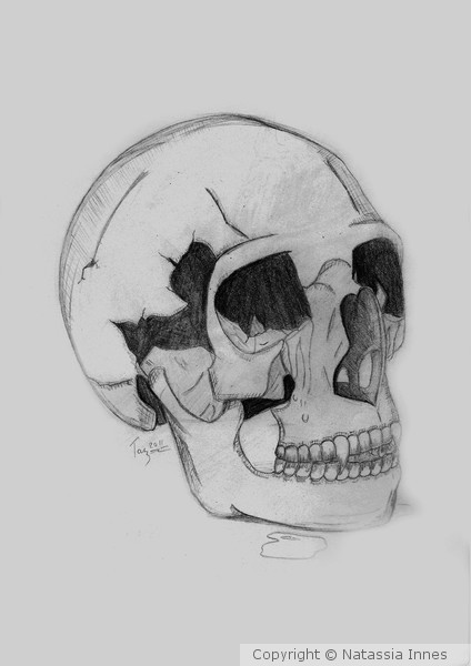 Vampire Skull