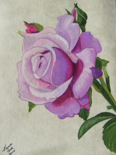 Gratitude Rose
