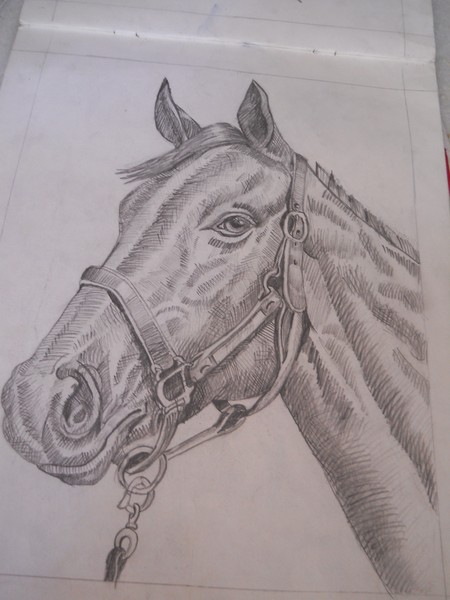 Dark horse...