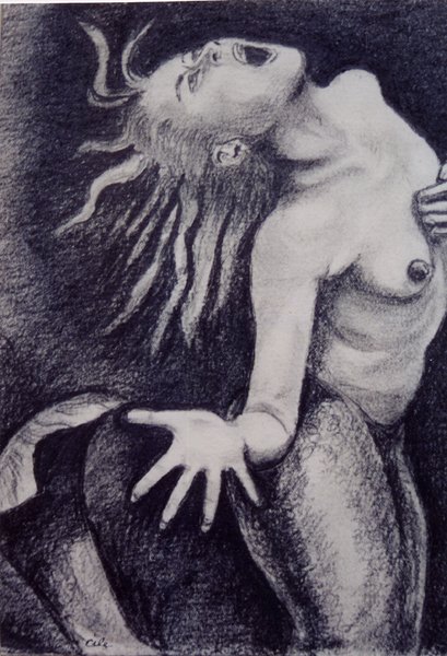 metamorphosis
