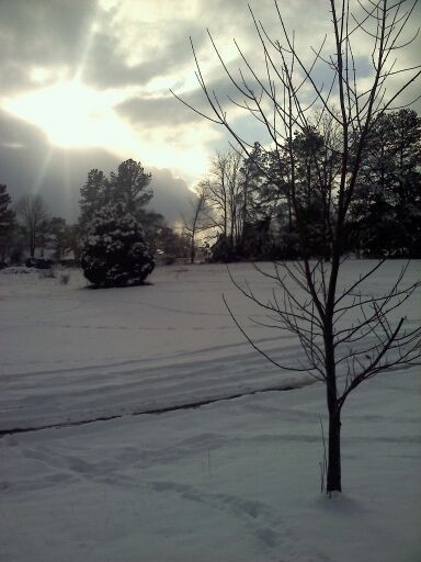 12 25 2010 yard