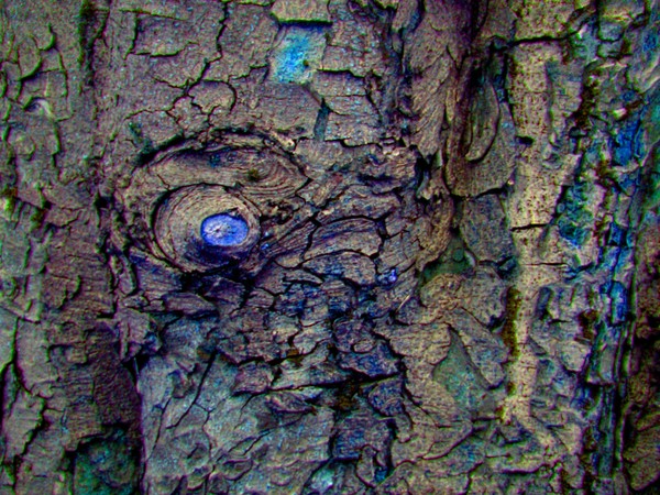 november eye