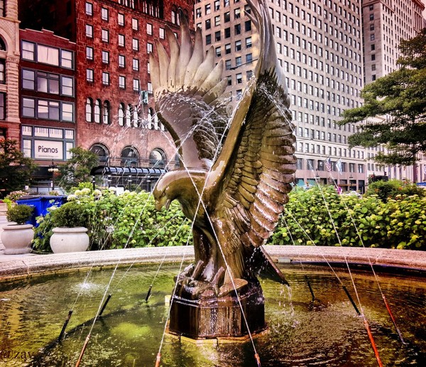 Eagle. Chicago.