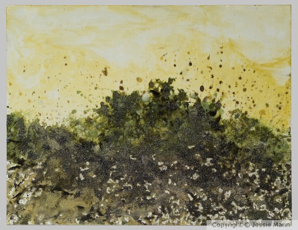 Summer 11 Horizon #1 Mixed media on panel18.5x24 8