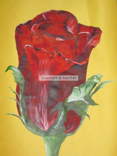 Rose Bud