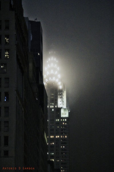 Dense night