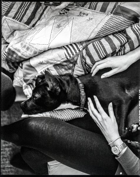 Lazy Day