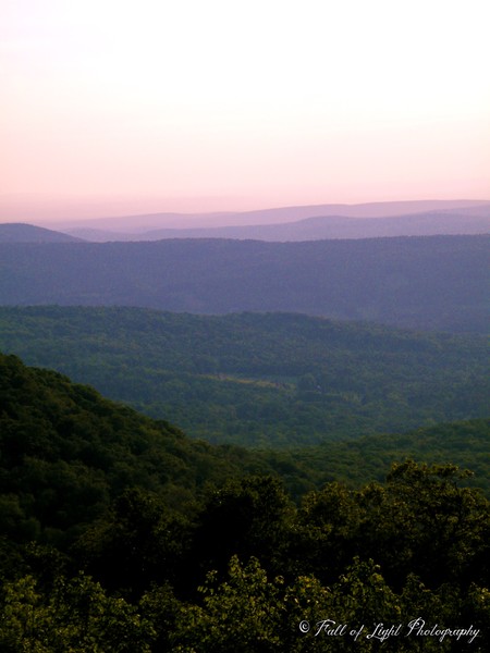 The Valley