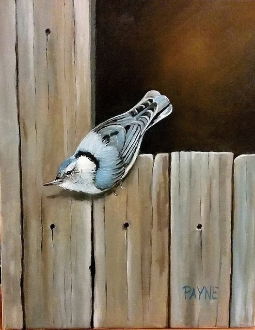 NC Nuthatch Painting