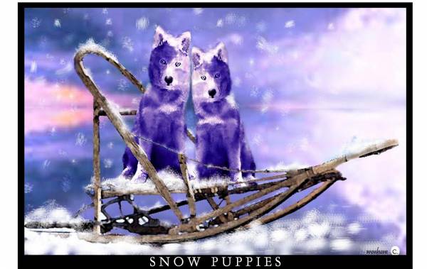 Snopuppies