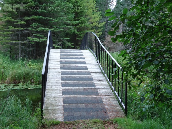 A Walk Into the Wild