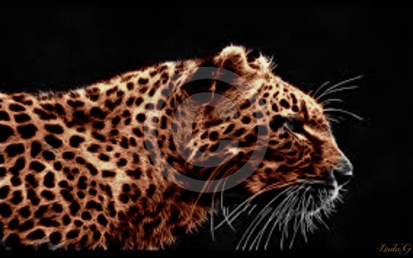 Out on the Hunt