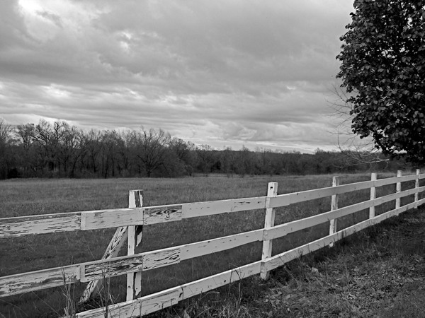 Fence in the country