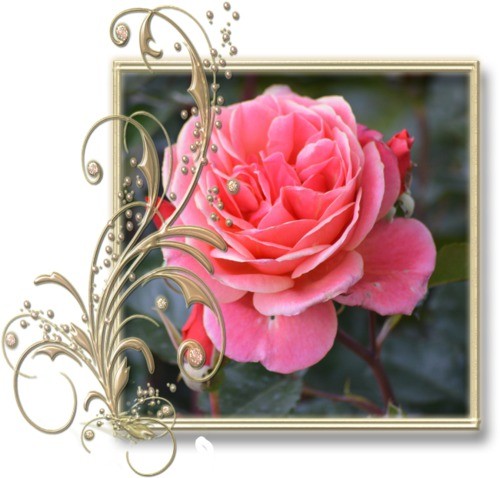 HAPPY BIRTHDAY DEAR JOANIE !!!!