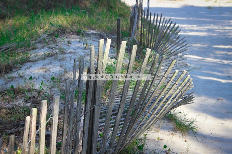 Sand barrier near Beaufort, SC