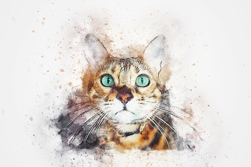 tshirtdesigns (29)