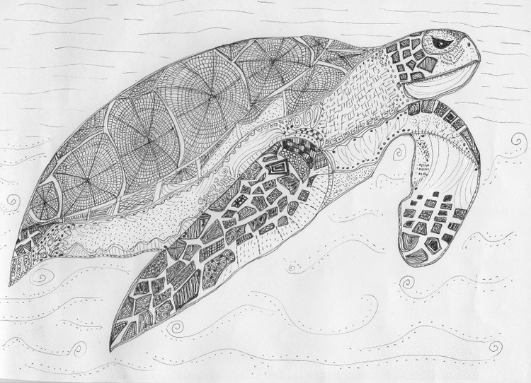 Sea Turtle