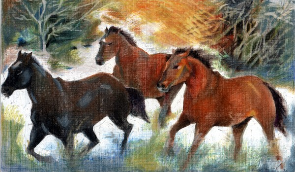 horses