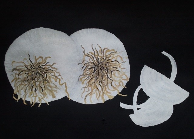 Onions 