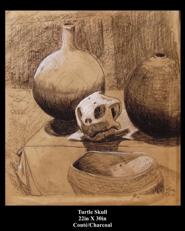TurtleSkull