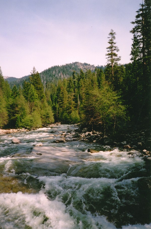 Merced In May