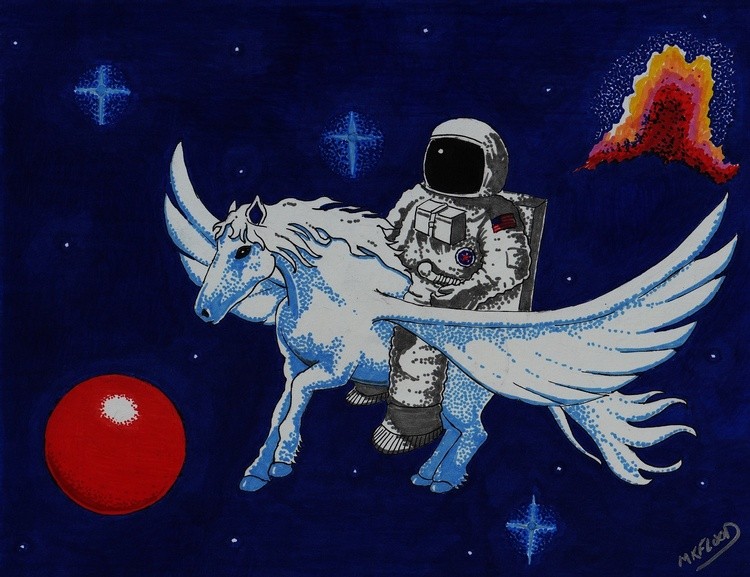 space cowboy