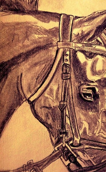 horse