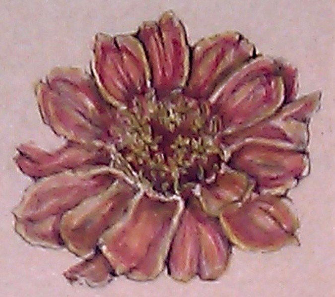 Zinnia Watercolor