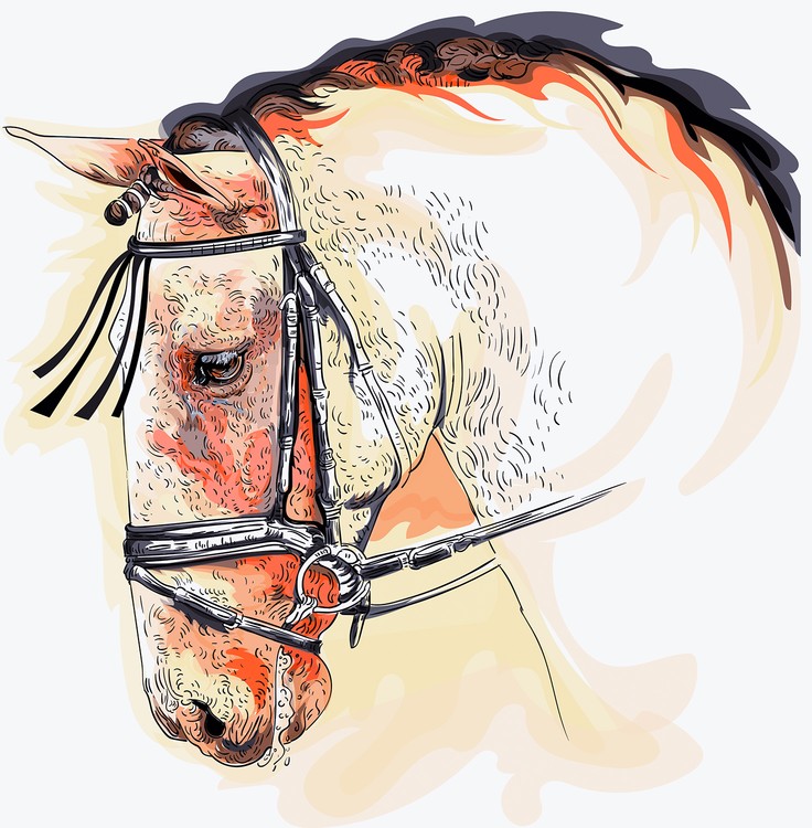 Spanish Horse