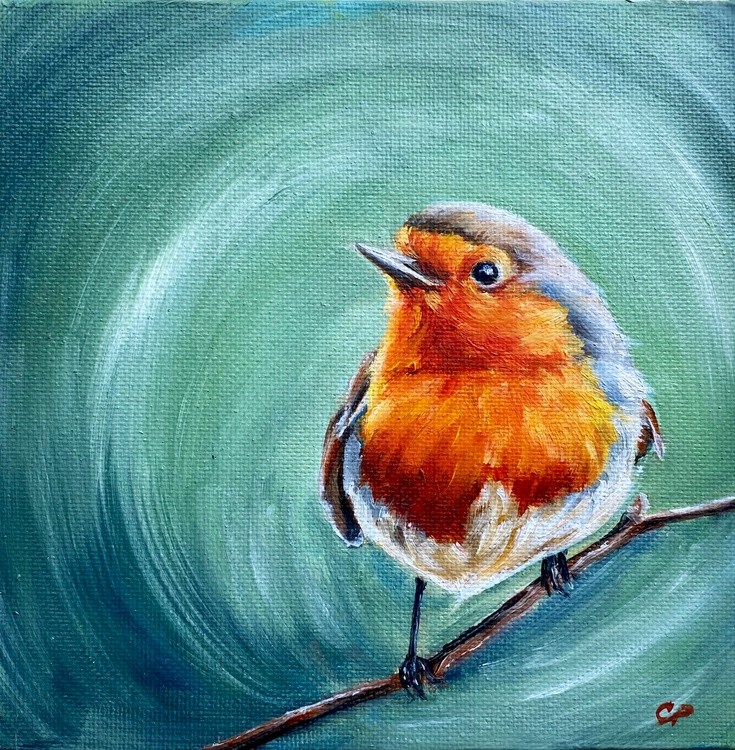 European Robin