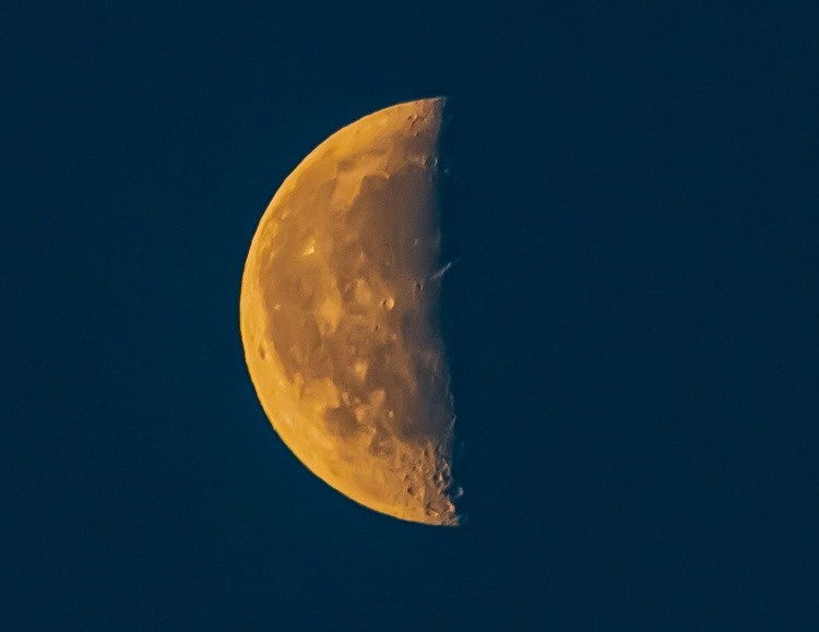 Half Moon - March 11  2026