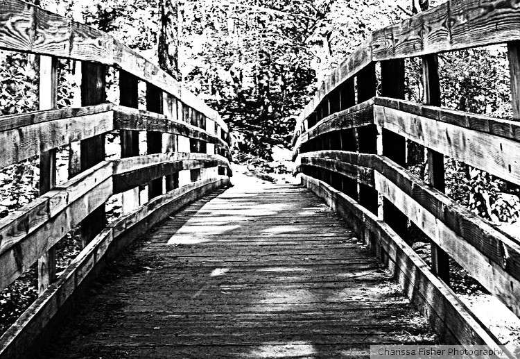 bridge to the next chapter