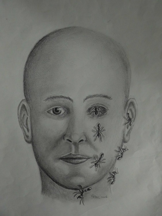 ant plague
