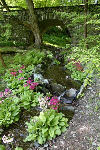 Garden Bridge